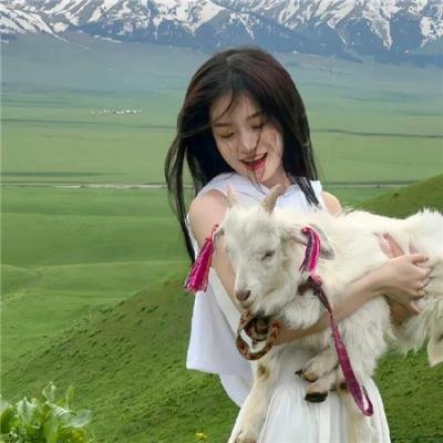 蜜果树之恋