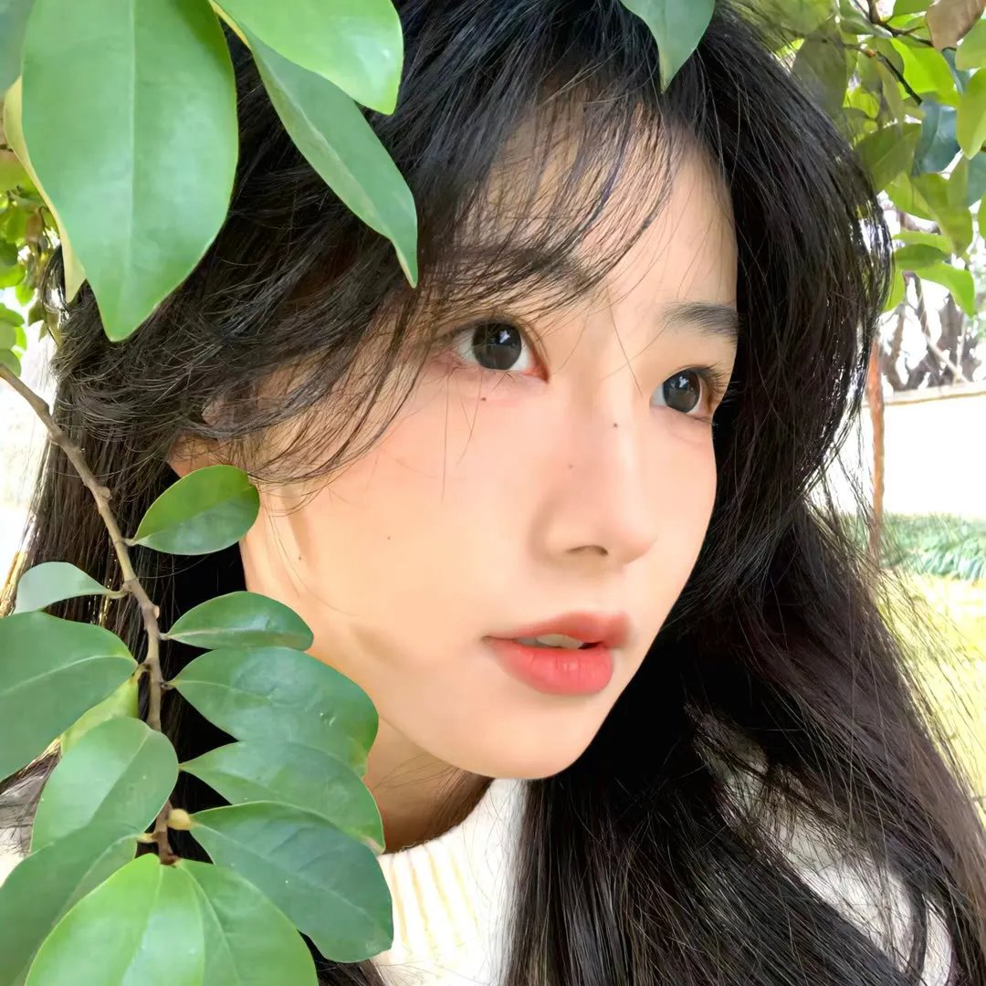 废柴上路第二季
