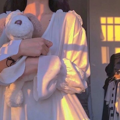 狐狸女士第二季